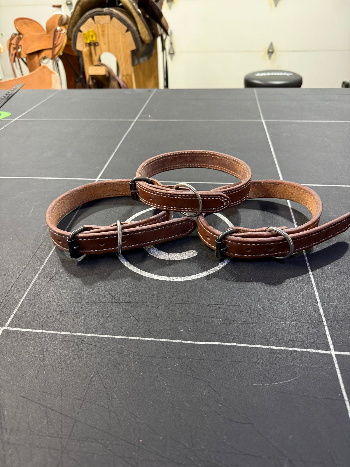 Dog Collars