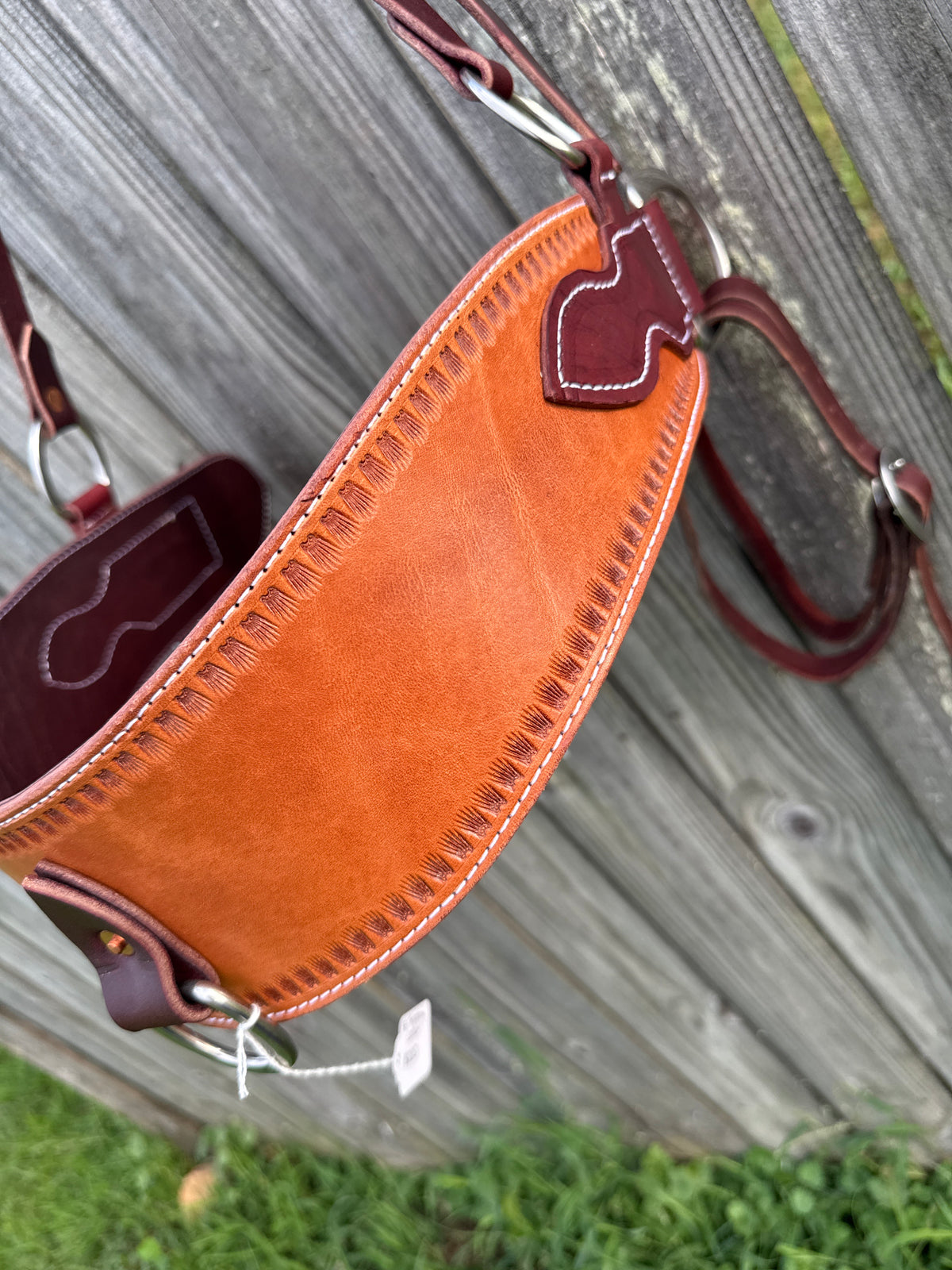Arizona Tripping Collar (#3)